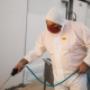 Gallery Professionale