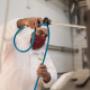 Gallery Professionale