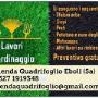 Gallery Professionale