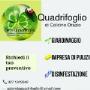 Gallery Professionale