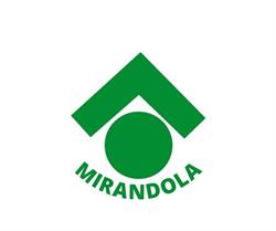 Affiliato Tecnocasa Agenzia Mirandola Casa S.r.l.