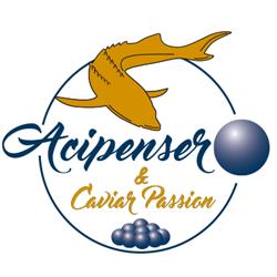 Acipenser Srl