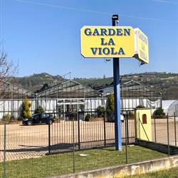 Azienda Agricola La Viola