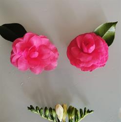 La Camelia d'Oro