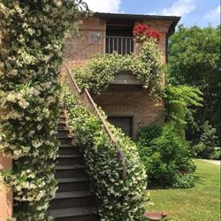 Agriturismo Ca' Sagredo Toderini, Conselve