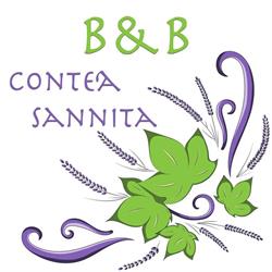 B&B Contea Sannita