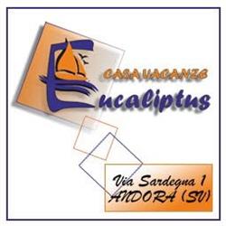 Eucaliptus