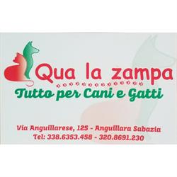 Qua la Zampa