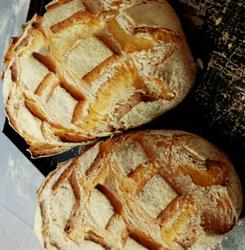 Antico Forno A Legna