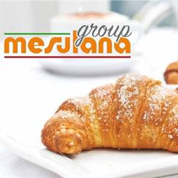 MESULANA GROUP SRL