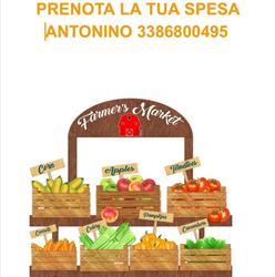 Aranceto Storico Sorrentino