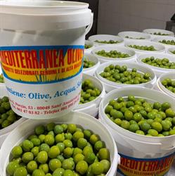 Mediterranea Olive