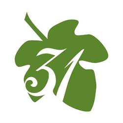 Ficoraccia31