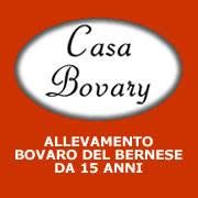 Casa Bovary