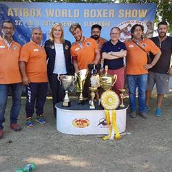 Allevamento boxer del Rolanus
