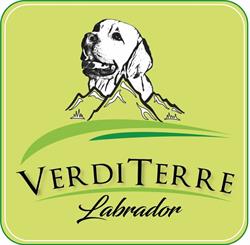 Verdi Terre Labrador