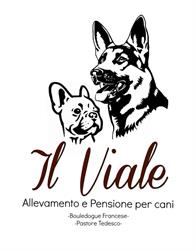 Il Viale Allevamento E Pensione