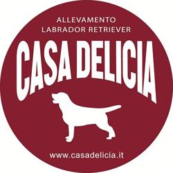 Casa Delicia Allevamento Labrador