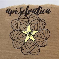 Api Selvatica