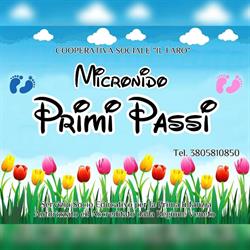 Micronido Primi Passi