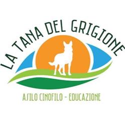 La tana del grigione