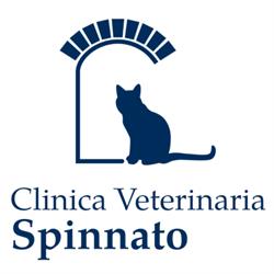 Clinica  Veterinaria Spinnato