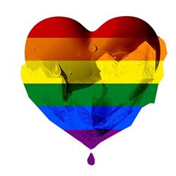 Fondazione il cuore si scioglie