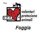 Volontari Protezione Animali Foggia