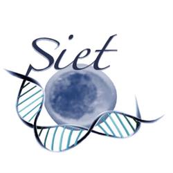 Società Italiana di Embryo Transfer