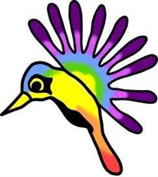 Il Colibrì