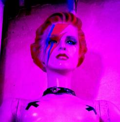 Ziggy Club