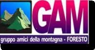 GAM Foresto