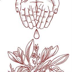 Le Rose Di Gerico