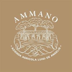 Ammano