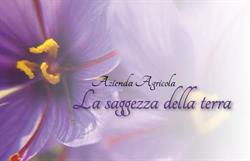 Az. Agr. LA SAGGEZZA DELLA TERRA