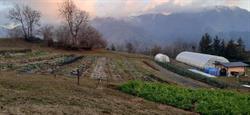 Az. agricola Orto Campo