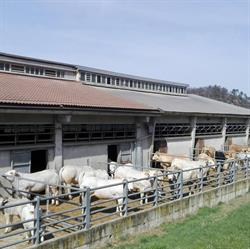 Cascina Nuova