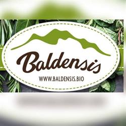 Baldensis