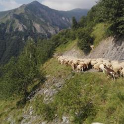 Agricola En Barlet