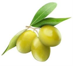 Azienda Agricola Gambino Vaccarino "OLIO EXTRAVERGINE GAMBINO"