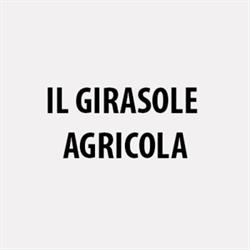 Il Girasole, bombole, idraulica, mangimi, mobili e piante.