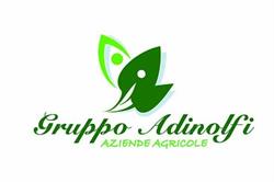 Gruppo Adinolfi