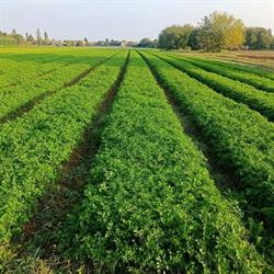 AGRO BIO FARMING