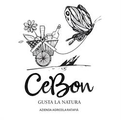 Agriturismo Cebon