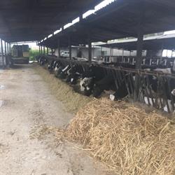 Azienda Agricola Galenda