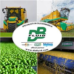 DB FLUID Srl