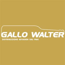 Gallo Walter S. R. L.