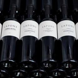 Cantina Lapone