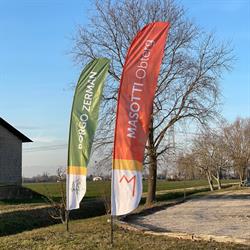 Azienda Agricola Borgo Verde