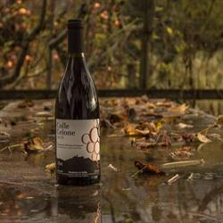 Vineria Neri